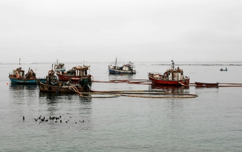 Diamond Mining Boats Diamond Mining Boats