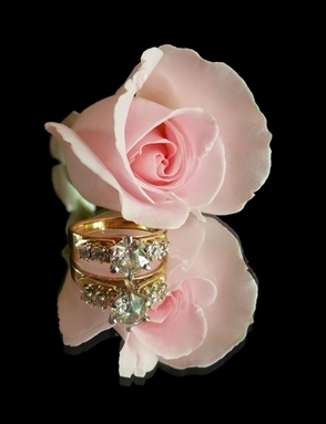 Engagement Ring Roses Engagement Ring Roses