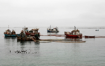 Diamond Mining Boats