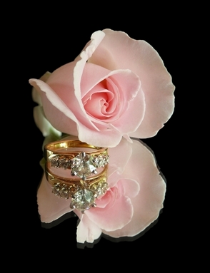 Engagement Ring Roses